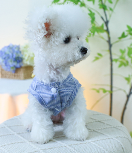 Soft No-Pull Pomeranian & Bichon Vest