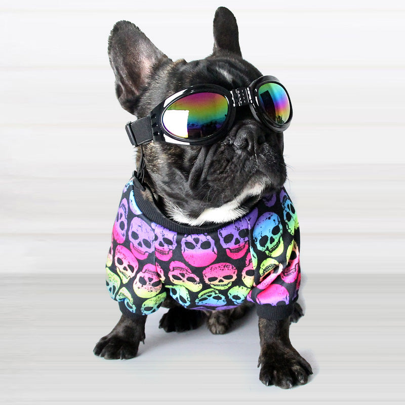 Warm Teddy Outfit for Small Dogs