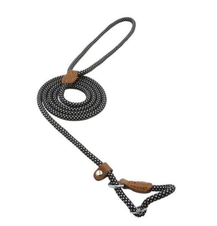Nylon Pup Set – Premium Dog Collar & Lead UK