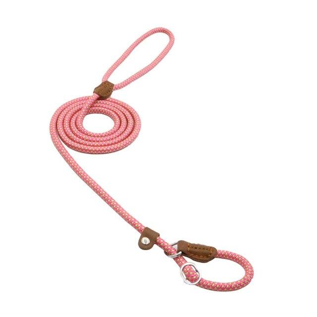 Nylon Pup Set – Premium Dog Collar & Lead UK