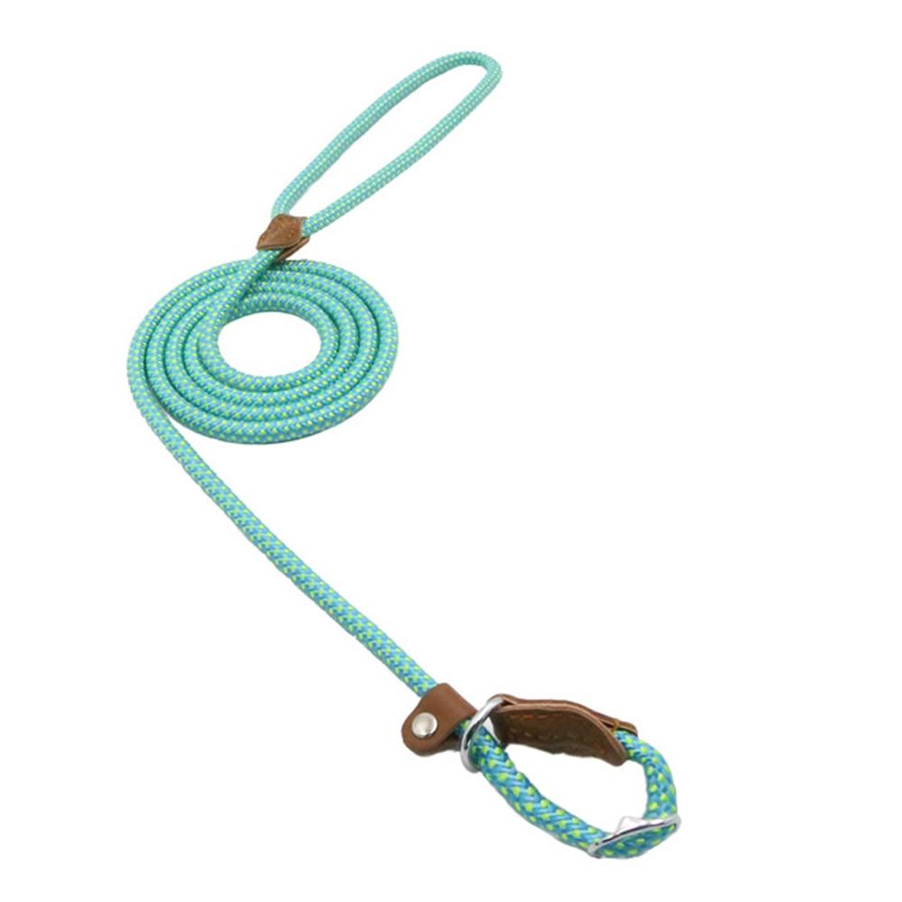 Nylon Pup Set – Premium Dog Collar & Lead UK