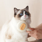 Cat Brush Remove Hair Pet Hair Removal Comb For Cats