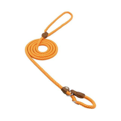 Nylon Pup Set – Premium Dog Collar &amp; Lead UK