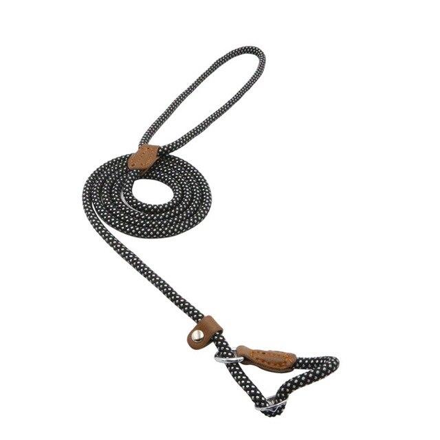 Nylon Pup Set – Premium Dog Collar &amp; Lead UK