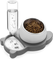 Elevated Dog Cat Bowls Tilted Cat Food And Water