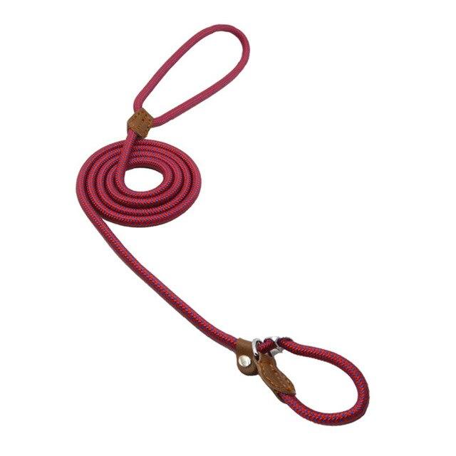Nylon Pup Set – Premium Dog Collar &amp; Lead UK