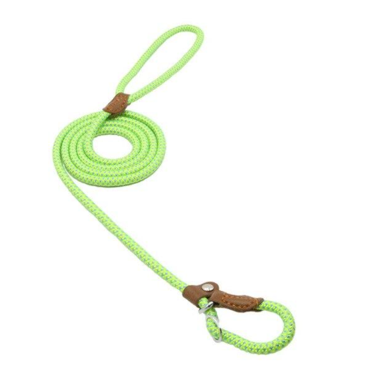 Nylon Pup Set – Premium Dog Collar &amp; Lead UK