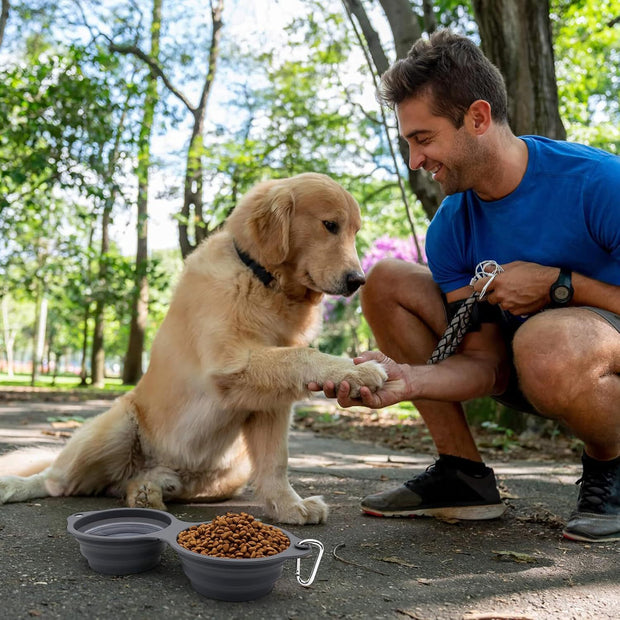 Collapsible Dog Bowls 2 In 1 Foldable Pet Food