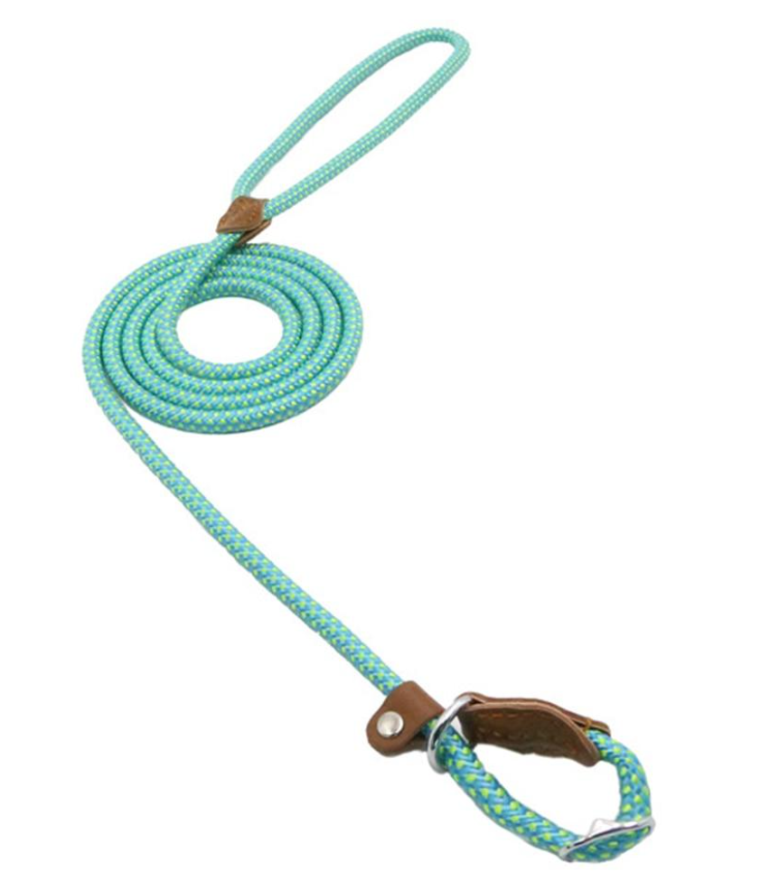 Nylon Pup Set – Premium Dog Collar &amp; Lead UK