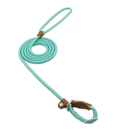 Nylon Pup Set – Premium Dog Collar &amp; Lead UK