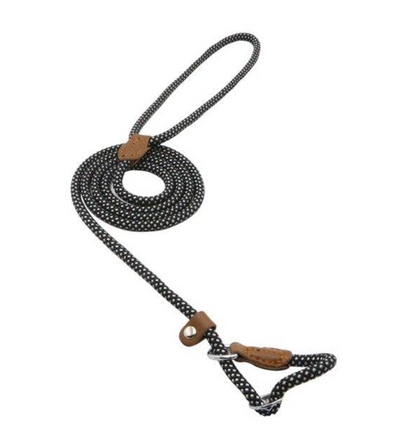 Nylon Pup Set – Premium Dog Collar &amp; Lead UK