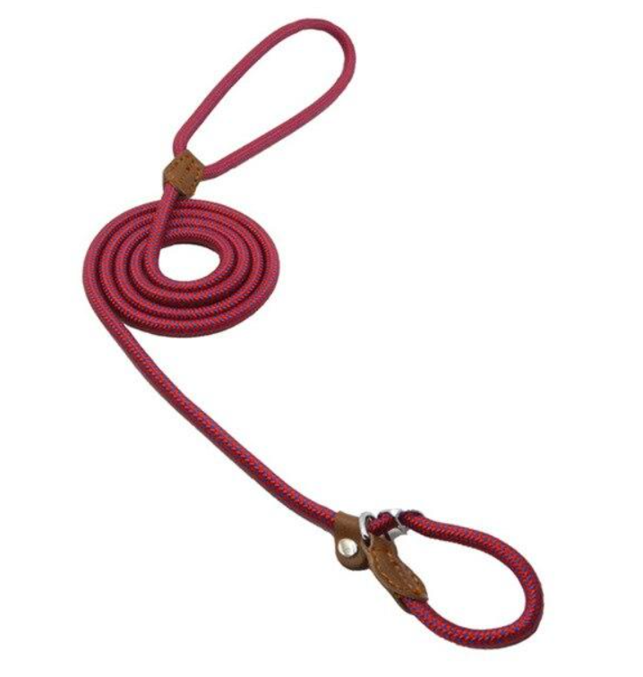 Nylon Pup Set – Premium Dog Collar &amp; Lead UK