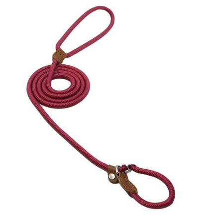 Nylon Pup Set – Premium Dog Collar &amp; Lead UK