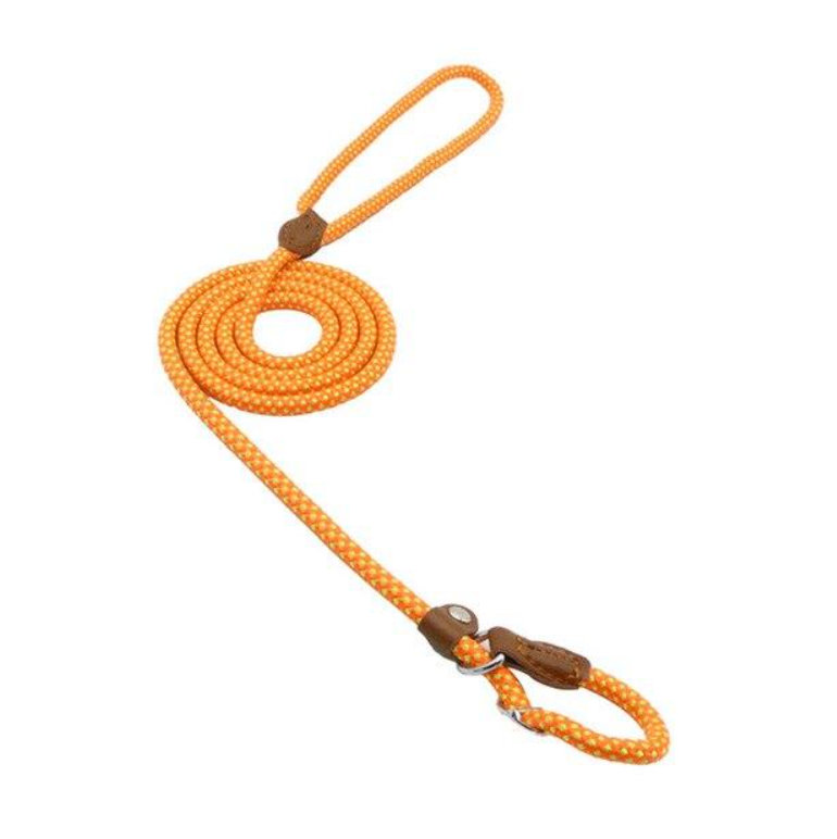 Nylon Pup Set – Premium Dog Collar &amp; Lead UK