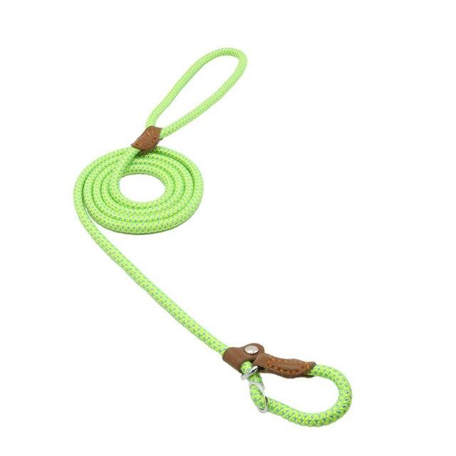 Nylon Pup Set – Premium Dog Collar &amp; Lead UK