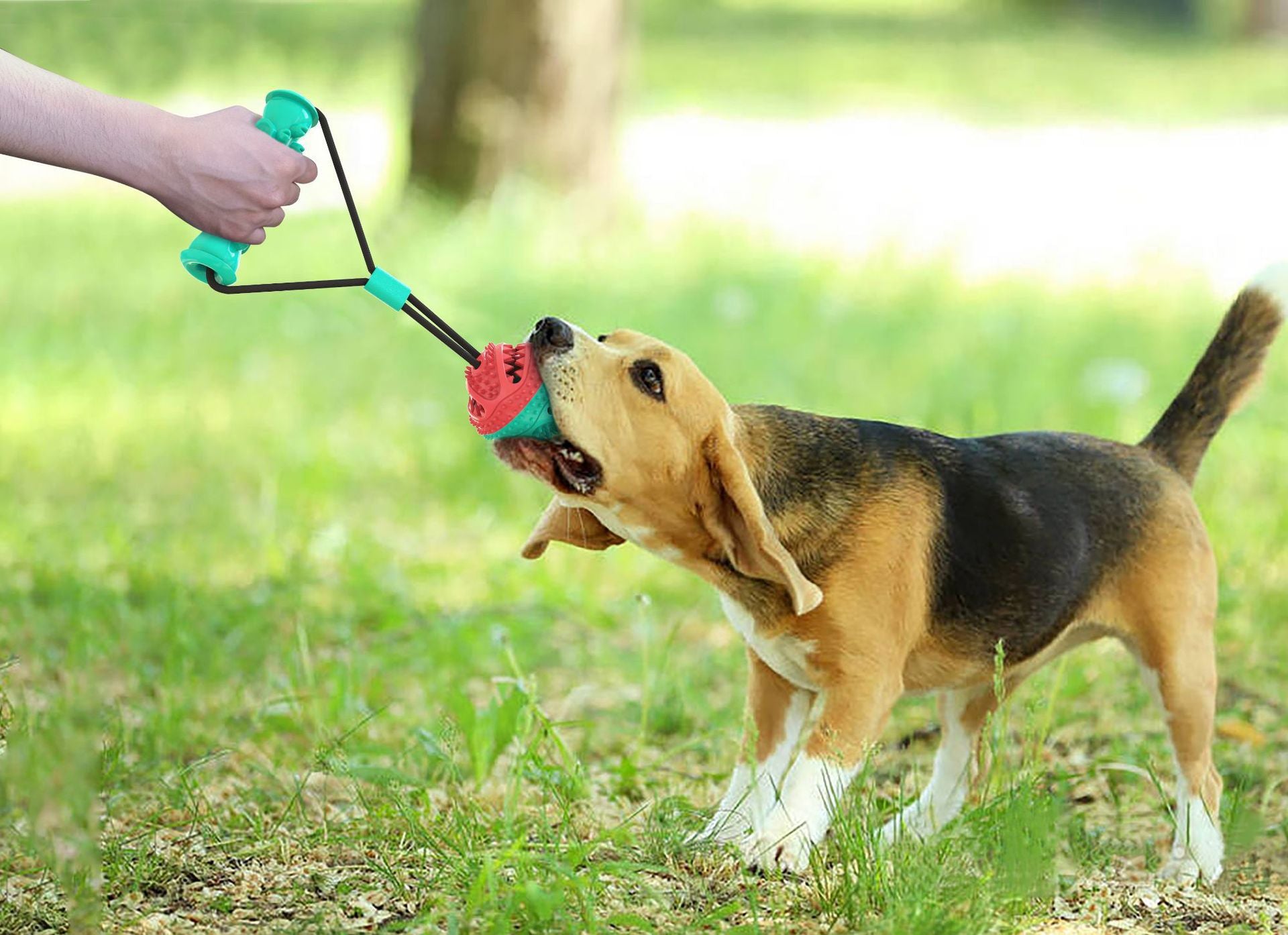 Dog Toy, Tug Rope Toy, Training Ball