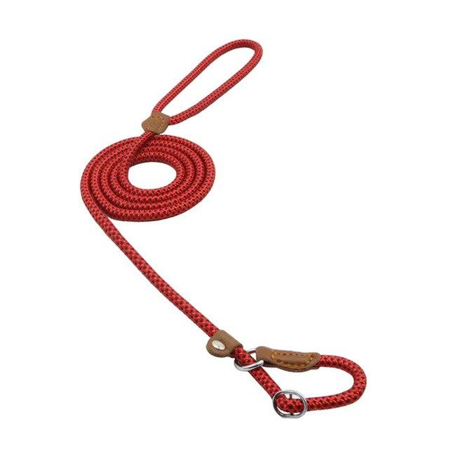Nylon Pup Set – Premium Dog Collar &amp; Lead UK