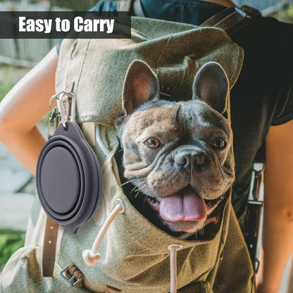 Portable and Foldable Bowl for Pets