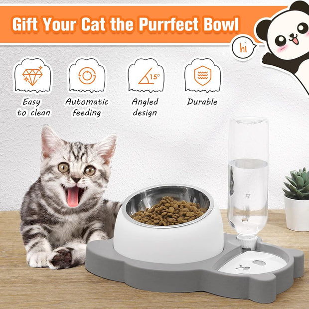 Elevated Dog Cat Bowls Tilted Cat Food And Water